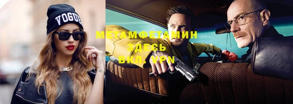 хмурый Аркадак