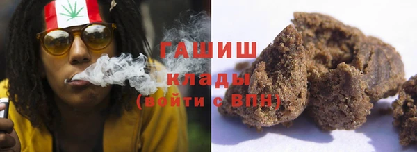 хмурый Аркадак