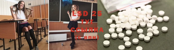 ГАЛЛЮЦИНОГЕННЫЕ ГРИБЫ Арсеньев