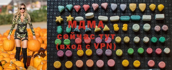 хмурый Аркадак