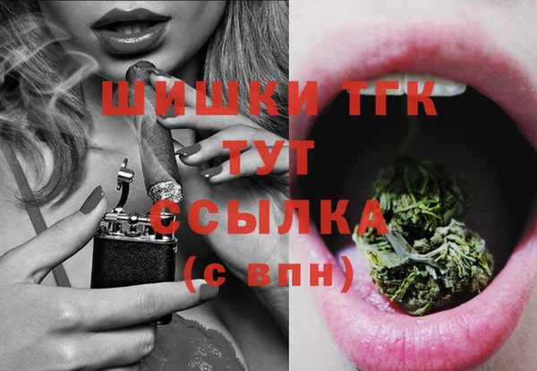 хмурый Аркадак