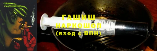 хмурый Аркадак