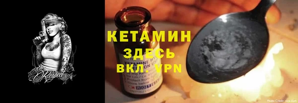 хмурый Аркадак