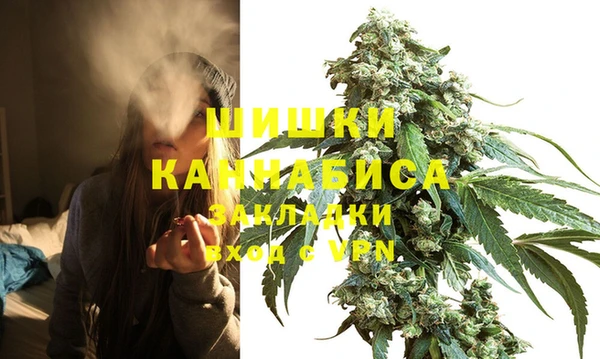 ГАЛЛЮЦИНОГЕННЫЕ ГРИБЫ Арсеньев