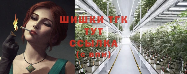 ГАЛЛЮЦИНОГЕННЫЕ ГРИБЫ Арсеньев