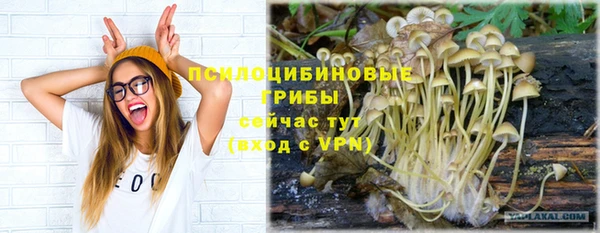 ГАЛЛЮЦИНОГЕННЫЕ ГРИБЫ Арсеньев