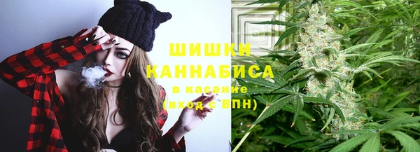 ПСИЛОЦИБИНОВЫЕ ГРИБЫ Алексеевка