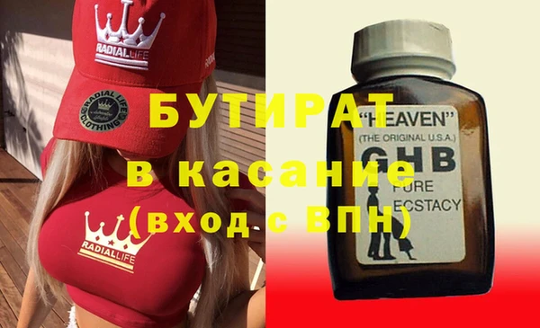 хмурый Аркадак