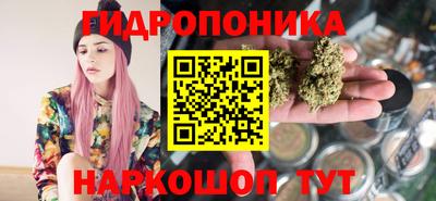 ешки Будённовск