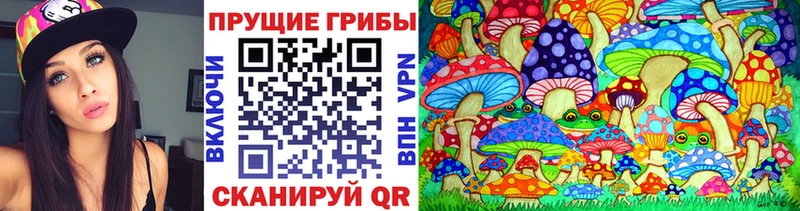 Галлюциногенные грибы MAGIC MUSHROOMS  Кемерово 