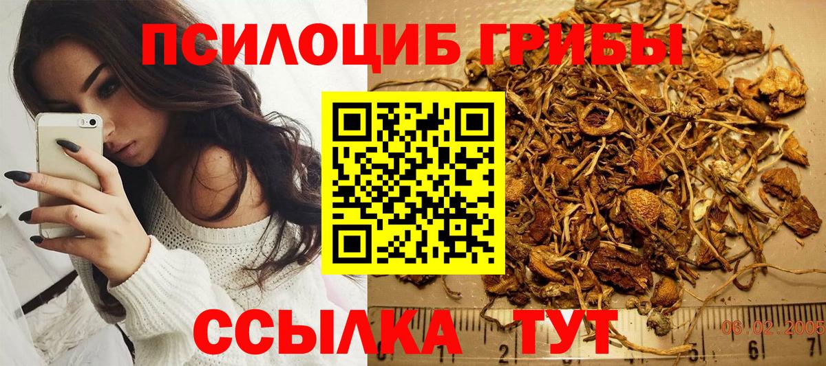 Галлюциногенные грибы GOLDEN TEACHER Кемерово
