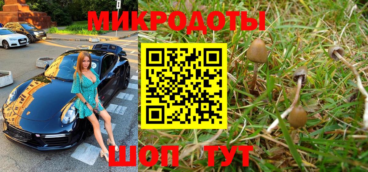 Кемерово  Галлюциногенные грибы мухоморы  Вход с VPN  Псилоцибиновые грибы мицелий 